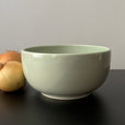 E09 EBI Round noodle soup bowl