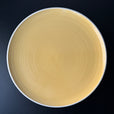 N01 ENSO Platter