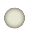J03 JASMINE Dinner plate