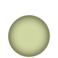 J03 JASMINE Dinner plate