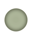 J03 JASMINE Dinner plate