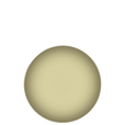 J04 JASMINE Luncheon plate