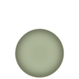 J04 JASMINE Luncheon plate