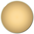 N01 ENSO Platter