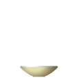 N08 ENSO Soup bowl