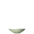 N08 ENSO Soup bowl