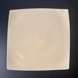 E01 EBI Square plate