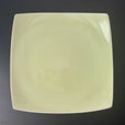 E01 EBI Square plate