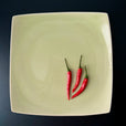 E01 EBI Square plate