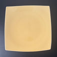 E01 EBI Square plate