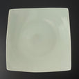 E01 EBI Square plate