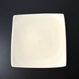 E03 EBI Square plate