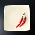 E03 EBI Square plate