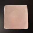E03 EBI Square plate
