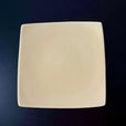 E03 EBI Square plate