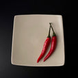 E04 EBI Square plate