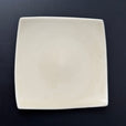 E04 EBI Square plate