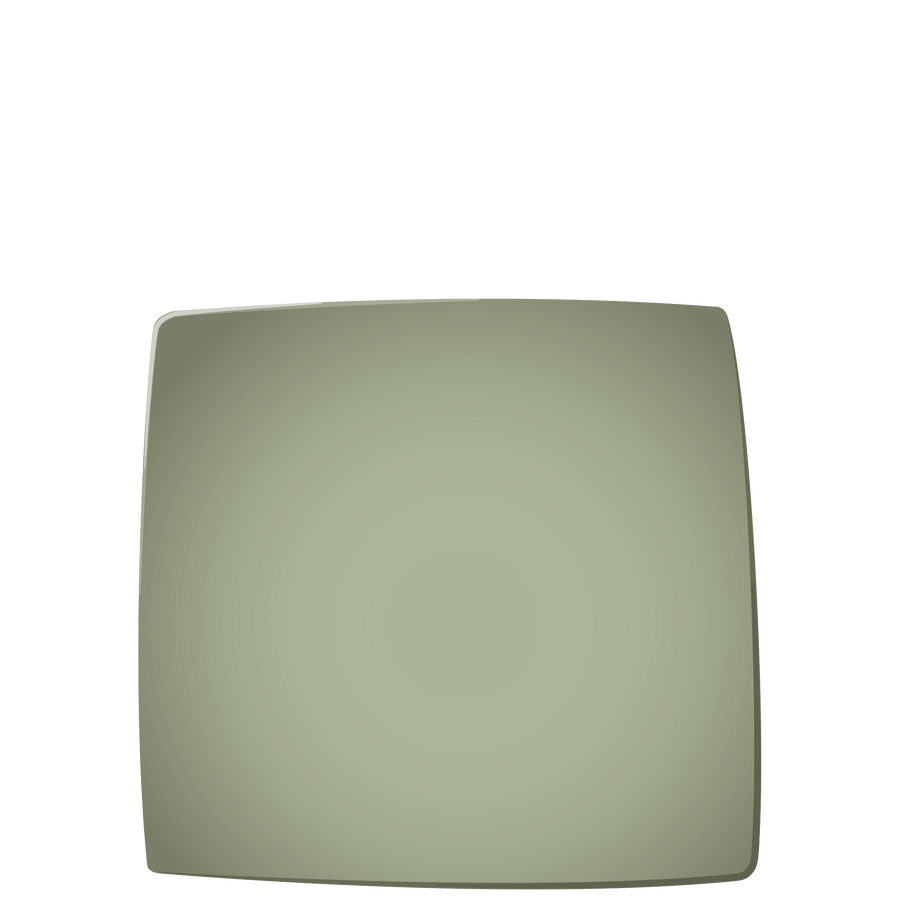 E01 EBI Square plate
