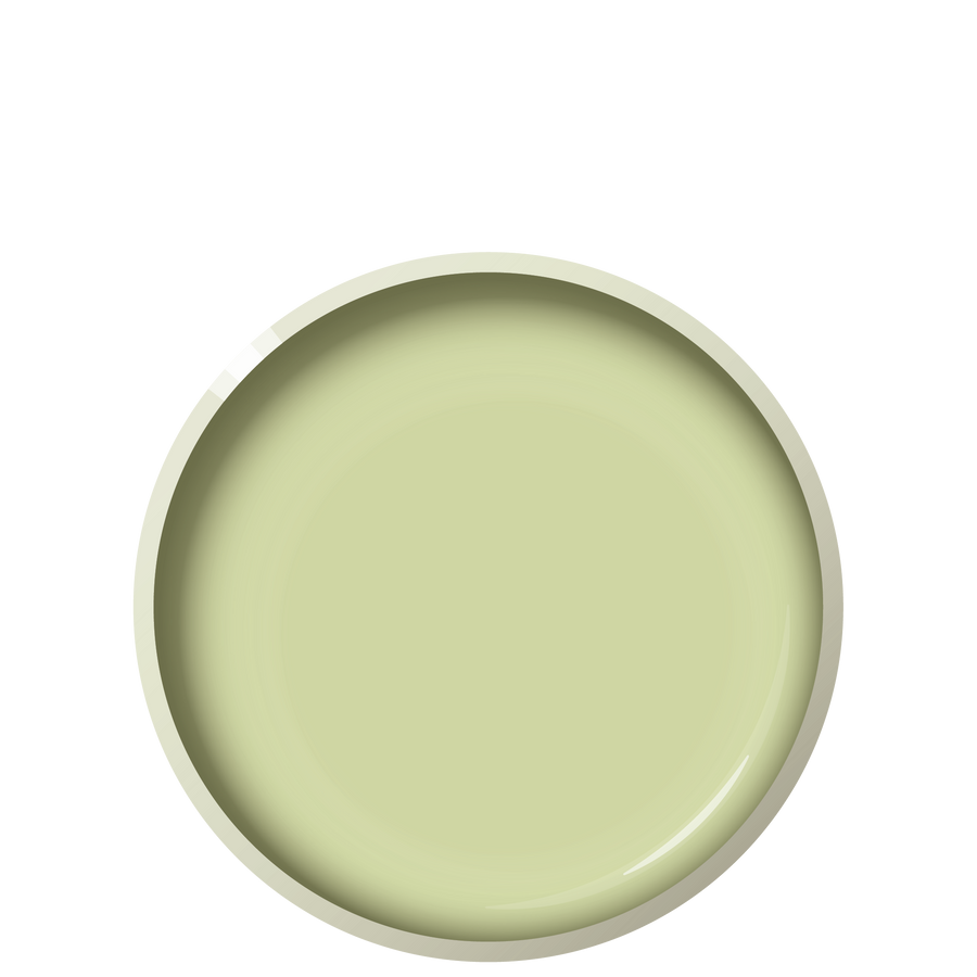 G03 WET GRASS Dinner plate