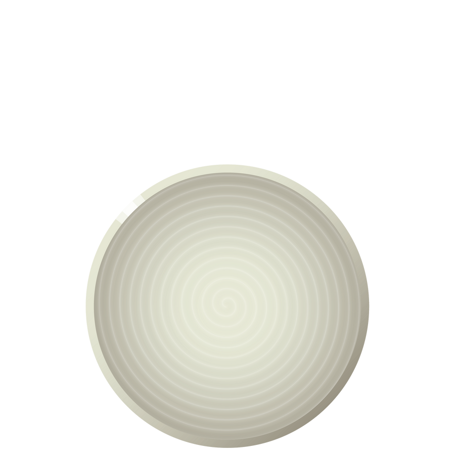 N04 ENSO Luncheon plate