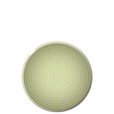 N04 ENSO Luncheon plate